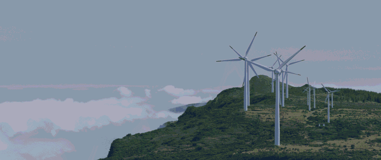 Go Green Today, Save The World Tomorrow!